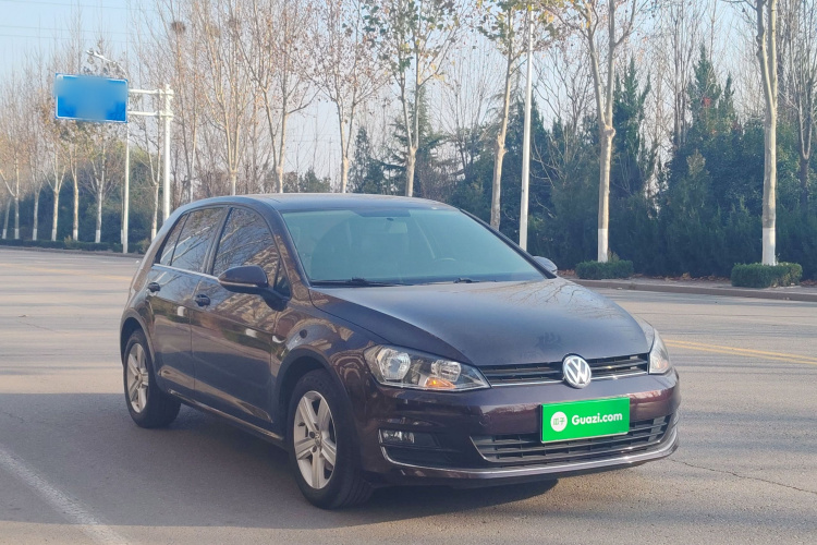 大众 高尔夫 2016款 230TSI 自动舒适型车身外观6002