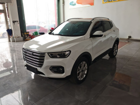 哈弗H2s 2018款 红标 1.5T 双离合风尚型