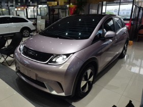 比亚迪 海豚 2023款 420km 时尚版