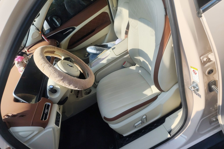 欧拉好猫 2023款 401km标准续航 豪华型 磷酸铁锂中控内饰19