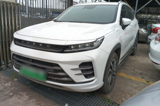 星途追风C-DM 2022款 1.5TCI-DHT 105KM乘风起版