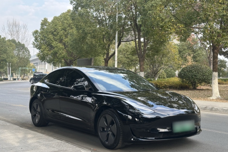 特斯拉 Model 3 2021款 标准续航后驱升级版车身外观6007