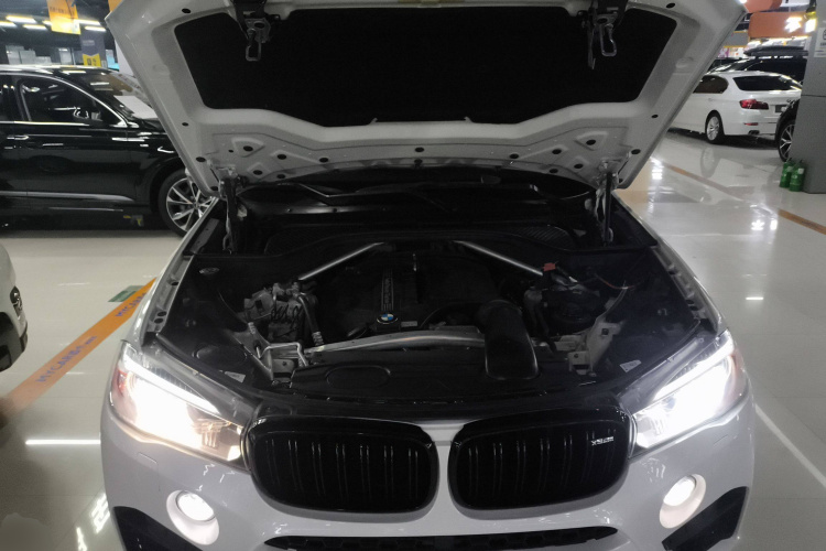 宝马X5(进口) 2014款 xDrive35i 典雅型局部细节24