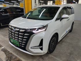 腾势D9 2022款 DM-i 1040 尊贵型