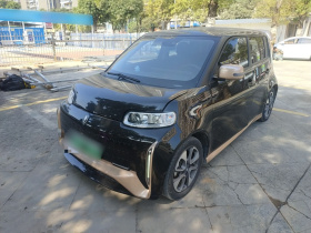 欧拉白猫 2022款 小野猫版 360km 豪华型 三元锂