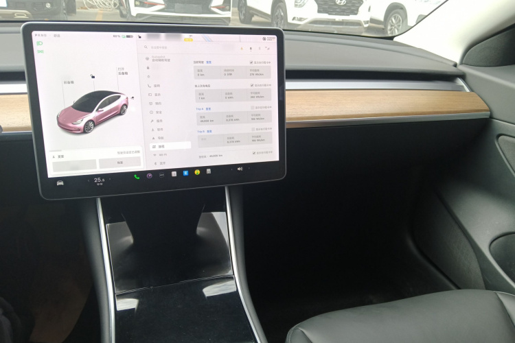 特斯拉 Model 3 2020款 改款 标准续航后驱升级版中控内饰12