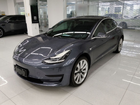 特斯拉 Model 3 2019款 标准续航后驱升级版
