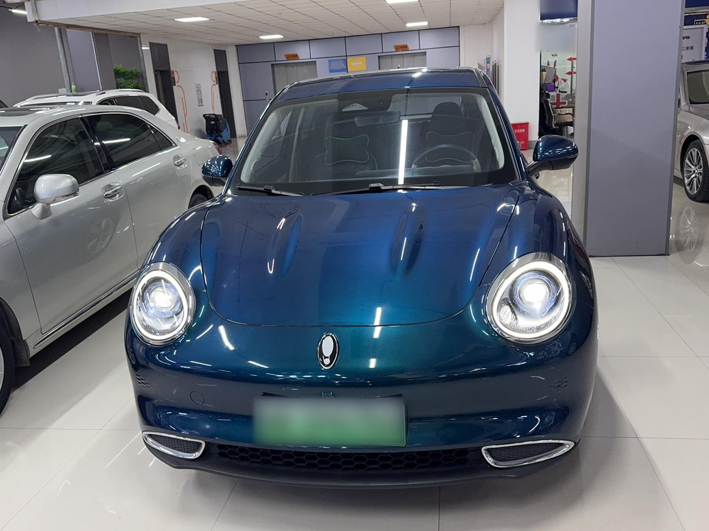 欧拉好猫 2021款 400km标准续航 维纳斯版 三元锂