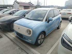 欧拉黑猫 2019款 351km 灵趣版