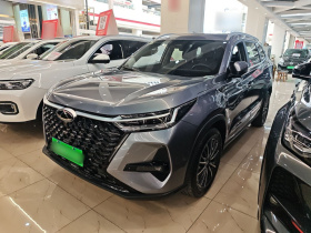 奇瑞 瑞虎8 PRO 2024款 冠军版 290T 两驱巅峰版 7座