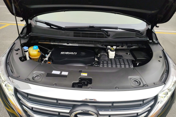 广汽传祺 传祺M8 2021款 领秀系列 390T 尊贵版局部细节24