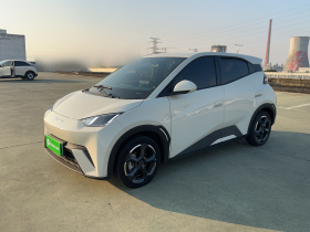 比亚迪 海鸥 2023款 自由版