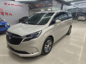 别克GL8 2020款 ES陆尊 653T 舒适型