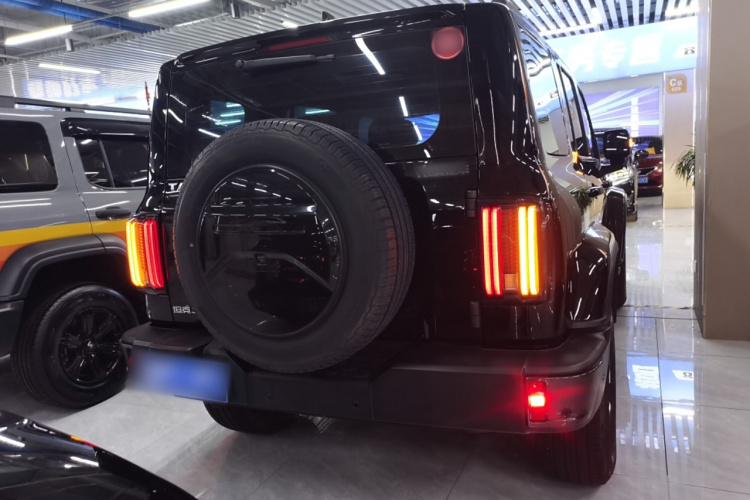 坦克300 2023款 城市版 2.0T 很有型车身外观6