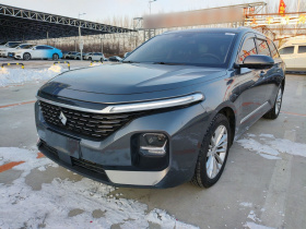 宝骏Valli 2021款 1.5T 大理天空 CVT尊享型