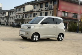 五菱汽车 宏光MINIEV 2024款 第三代 215km 进阶版