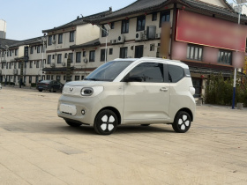 五菱汽车 宏光MINIEV 2024款 第三代 215km 进阶版