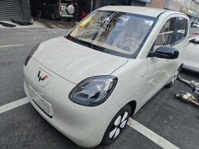 五菱汽车 宏光MINIEV 2025款 四门版 进阶款