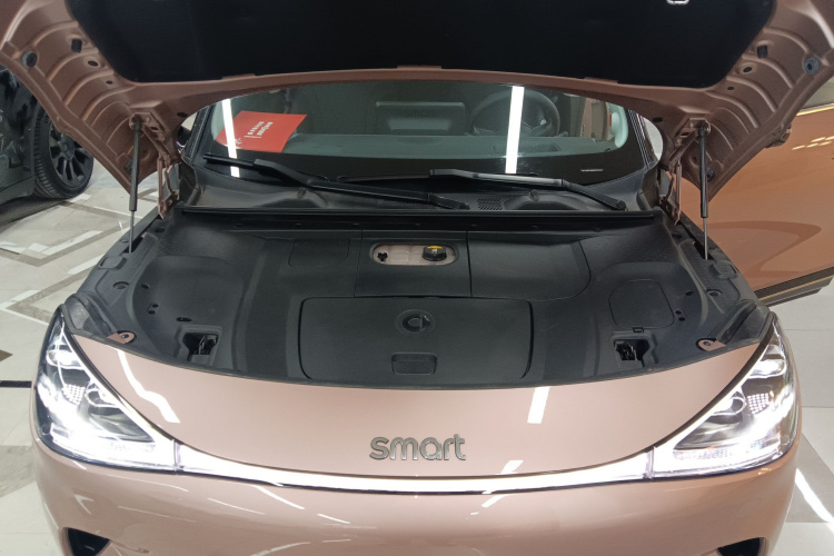 smart精灵#1 2022款 Premium版局部细节24