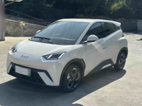 比亚迪 海鸥 2025款 405km 飞翔版