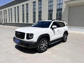 哈弗大狗 2022款 1.5T DCT两驱边牧版