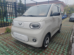 五菱汽车 宏光MINIEV 2024款 第三代 215km 青春版