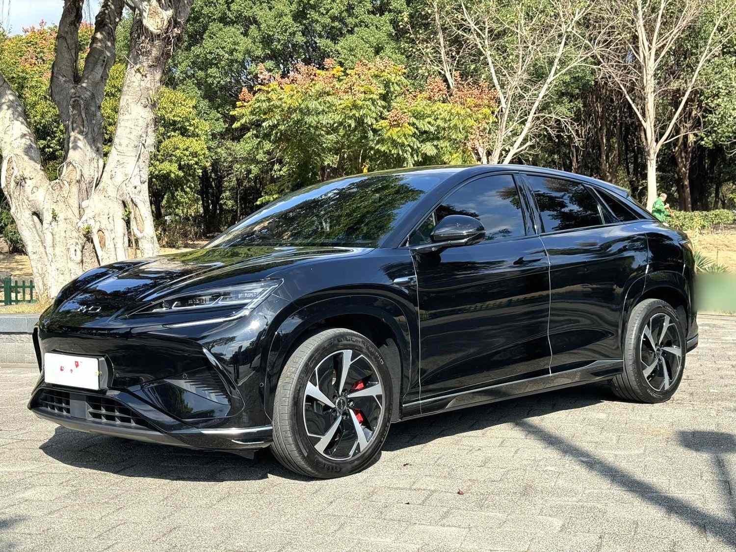 比亚迪 海狮07 EV 2024款 610智航版(1)