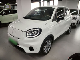 零跑汽车 零跑T03 2024款 403舒享版