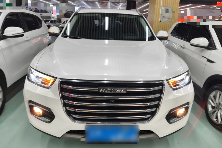 哈弗H6 2020款 1.5GDIT 自动铂金冠军版车身外观6001