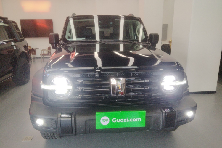 坦克300 2024款 2.0T 征服者车身外观2