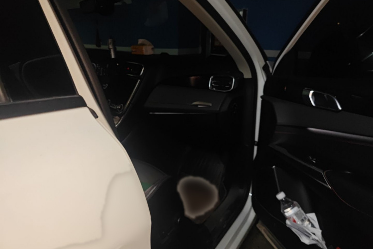 领克01 2017款 2.0T 四驱劲Pro版局部细节9005