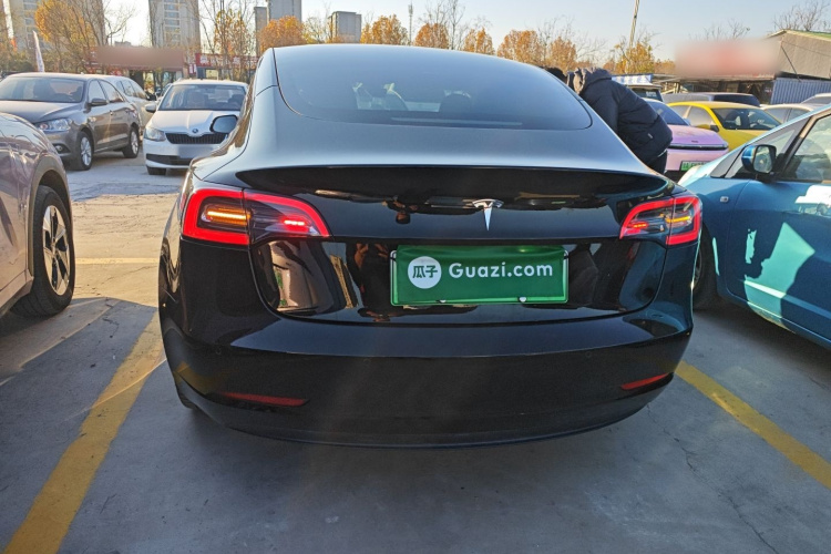 特斯拉 Model 3 2021款 标准续航后驱升级版车身外观6004