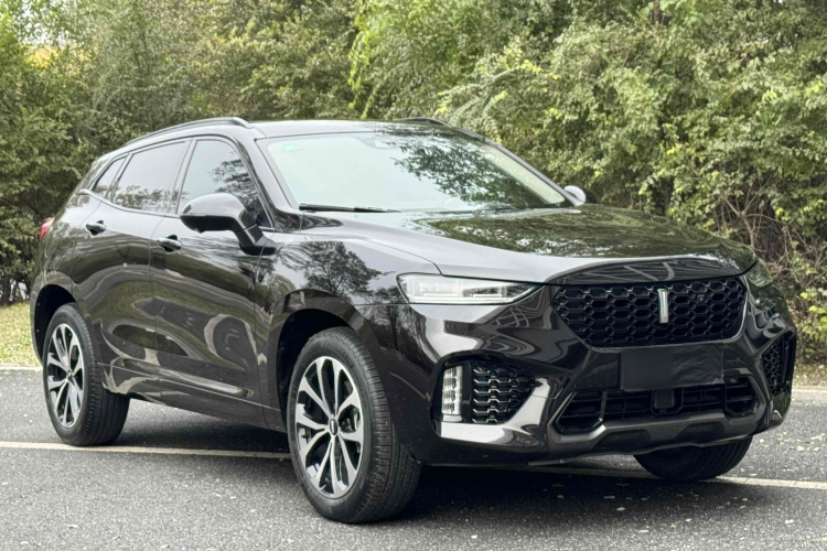 魏牌 VV7 2019款 升级款 2.0T 超豪型 国VI车身外观6001