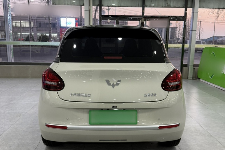 五菱汽车 五菱缤果 2024款 203km 轻享款车身外观6003