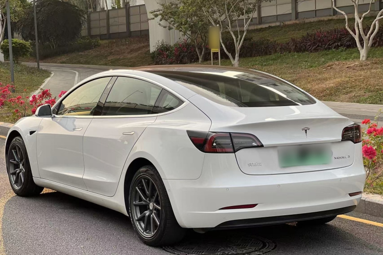特斯拉 Model 3 2020款 改款 长续航后轮驱动版车身外观6006