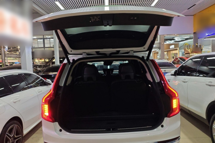 沃尔沃XC90 2019款 T6 智逸版 7座 国VI局部细节23