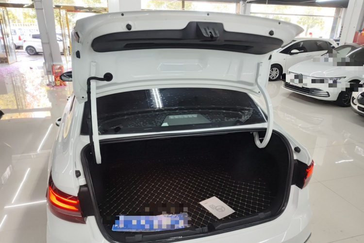 大众 朗逸 2023款 280TSI DSG星空满逸版局部细节23