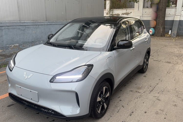 五菱汽车 五菱缤果PLUS 2024款 510km 五座版车身外观6001