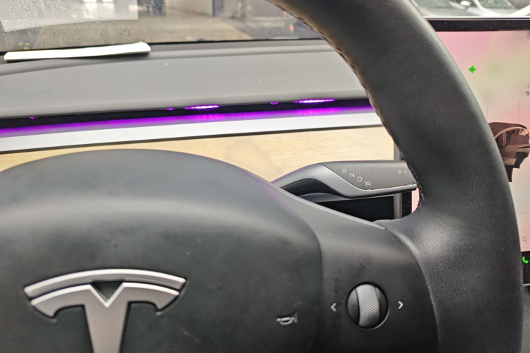 特斯拉 Model Y 2021款 标准续航后驱版局部细节18