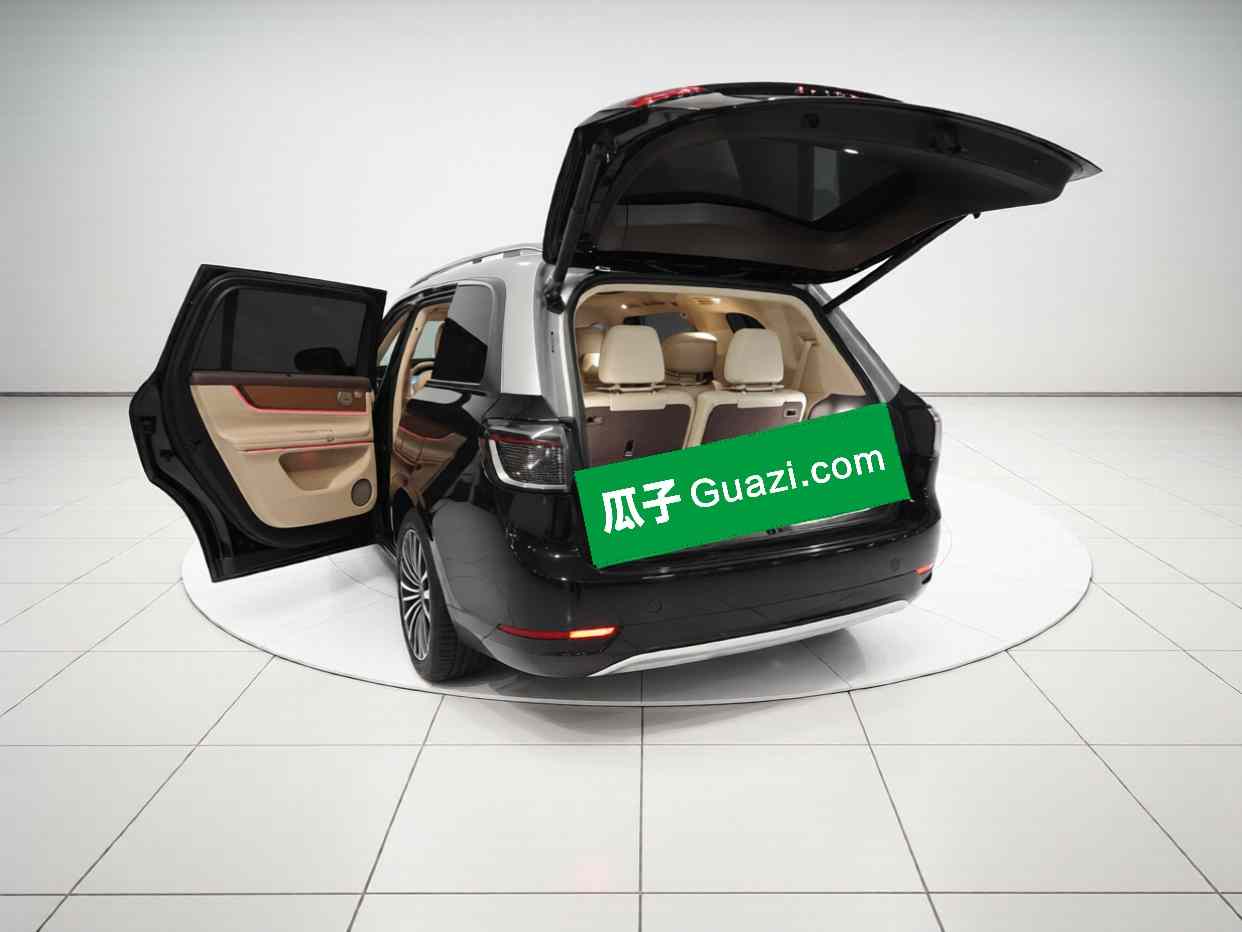 鸿蒙智行 问界M9 2024款 增程 Ultra版 42kWh 6座版(3)