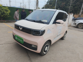 五菱汽车 宏光MINIEV 2021款 马卡龙时尚款 三元锂