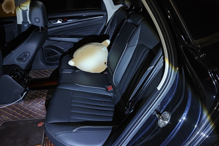 大众 帕萨特 2023款 330TSI 星空精英版中控内饰21