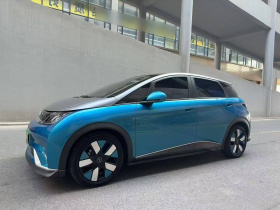 比亚迪 海豚 2021款 401km 骑士版