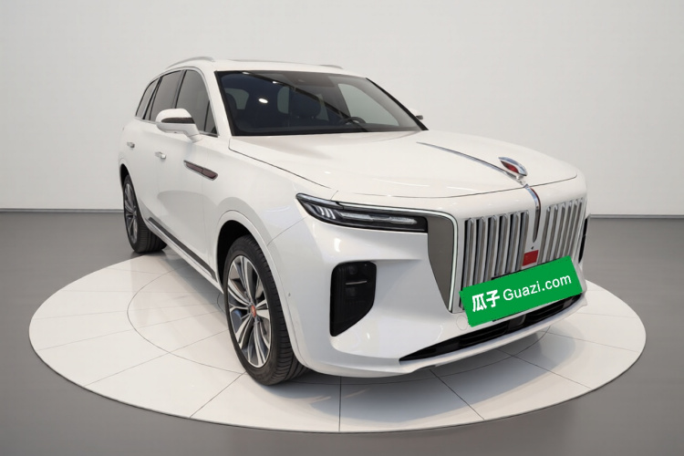 红旗E-HS9 2021款 460km 旗享版 六座车身外观3