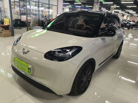 五菱汽车 五菱缤果 2025款 333km 灵犀互联款