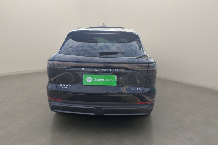 奇瑞 风云T9 2024款 120 长续航版舒适型 5座 三元锂车身外观6