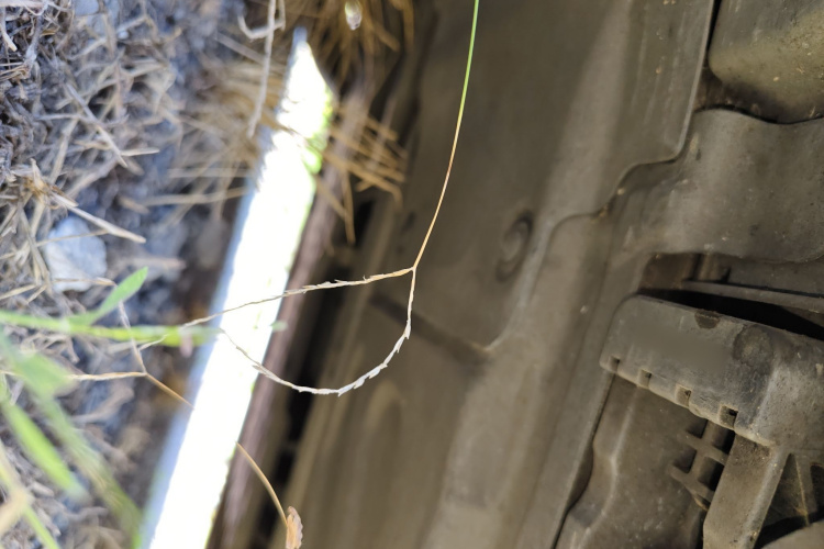 奔驰C级 2019款 C 260 运动版局部细节9004