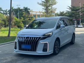 别克GL8 2021款 ES陆尊 653T 旗舰型