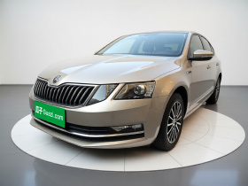 斯柯达 明锐 2018款 旅行车 TSI230 DSG豪华版