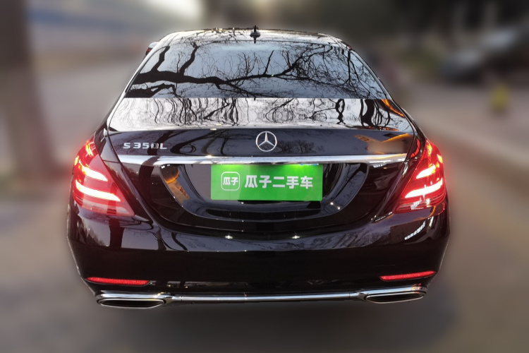 奔驰S级 2020款 S 350 L 尊享型 臻藏版车身外观6